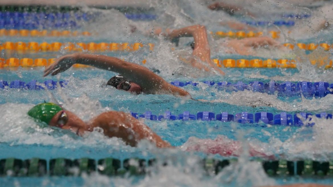 2024 02 27 Foto WEbeintrag Piranha