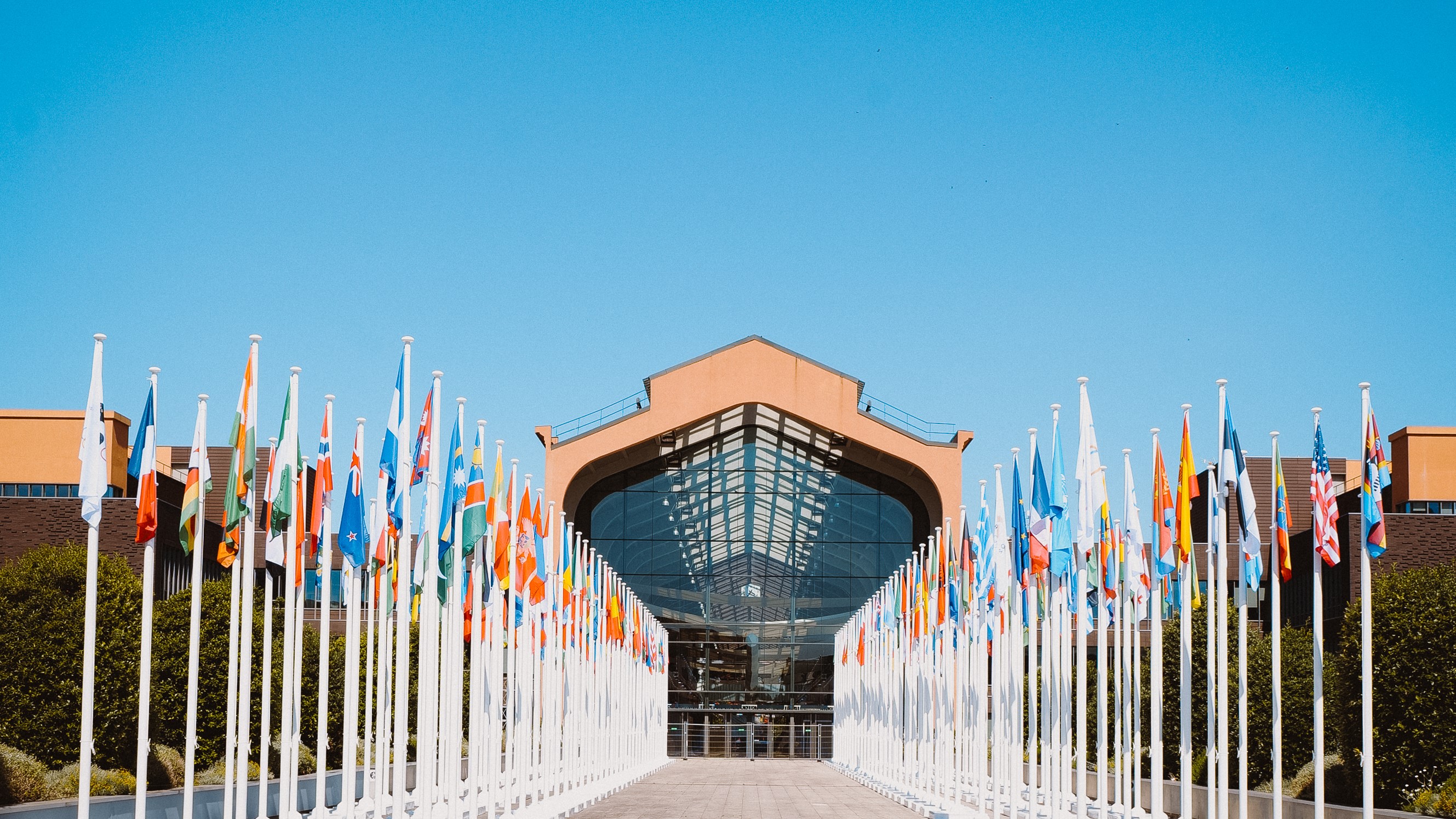 Der Countdown für Nicole Maier läuft - die Olympischen Spiele sind gestartet